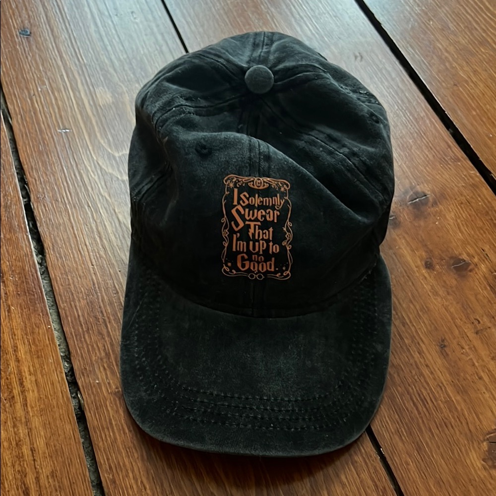 Harry Potter Dad Hat